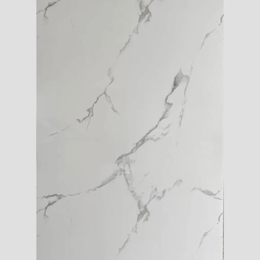 Iceberg